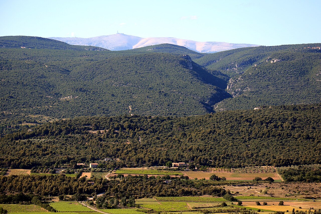 Le Mont Ventoux et son sommet calcaire vus de la plaine vauclusienne