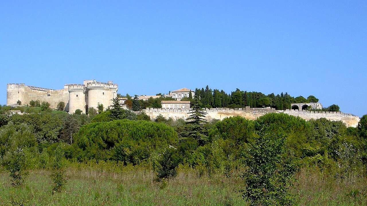 Le Fort Saint-André à Villeneuve-lès-Avignon, vu depuis la plaine de l'abbaye