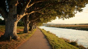 Voie verte le long du Rhone pour le velo autour d Avignon