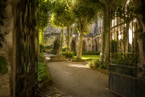 Vue paisible du square Agricol Perdiguier à Avignon avec ses allées ombragées, vestiges de cloître en pierre et fontaine, un